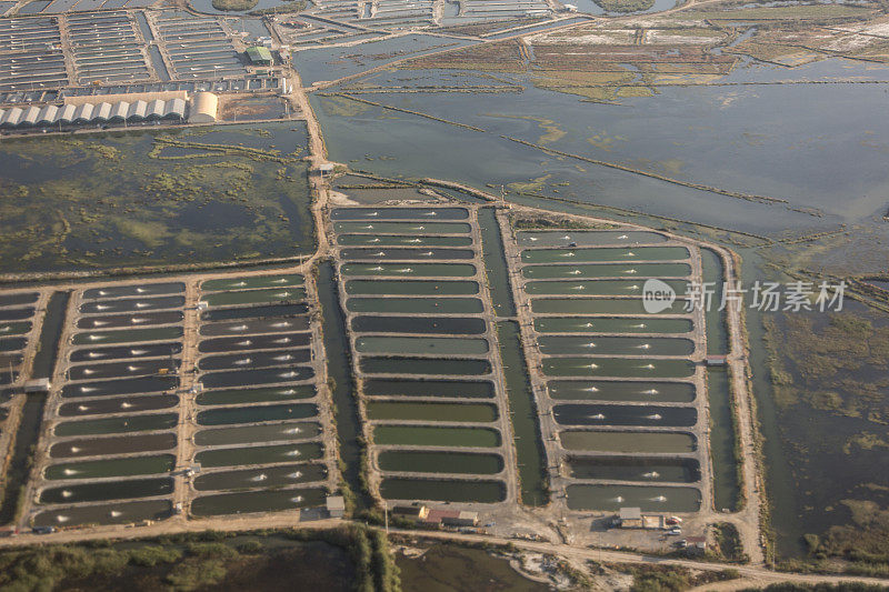 土耳其milas bodrum mugla, gulluk机场附近的沼泽人工养鱼场